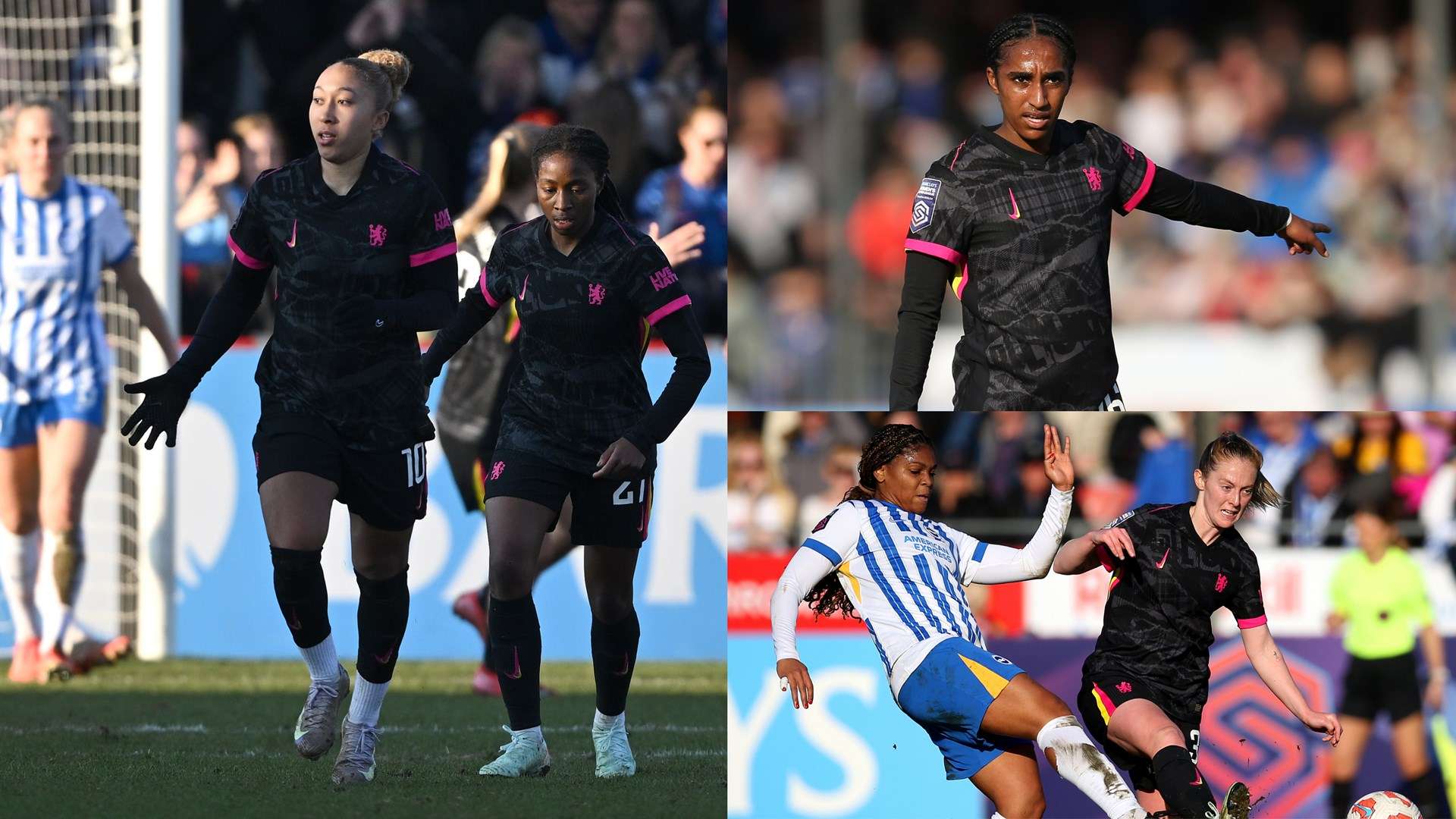 广东女篮的 广东女篮的