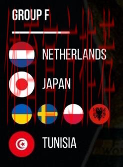 世界杯F组抽签出炉：荷兰，日本，突尼斯，欧洲附加B胜者